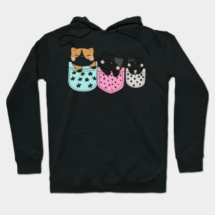 Three Cats Three Moods Hoodie